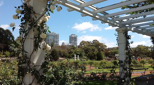 A scenic cycle in the 'Paris of South America'