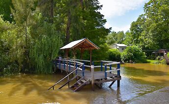 Tigre Delta, Buenos Aires, Argentina. Jeffrey Eisen@Unsplash