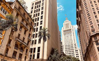 Worm's eye view, Tall buildings and trees of Downtown Sao Paulo, Brazil. Joao Tzanno@Unsplash