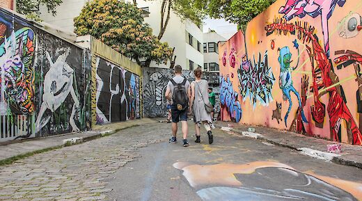 Street Art & Parks of Sao Paulo Bike Tour, Sao Paulo