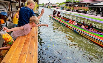 Fish feeding, Bangkok, Thailand. Grasshopper Day Tours