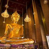 Giant Golden Buddah in Bangkok, Thailand. Grasshopper Day Tours