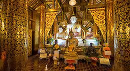Chiang Mai Evening Bike Tour