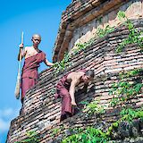 Monks doing chores in Chiang Mai, Thailand. Grasshopper Day Tours