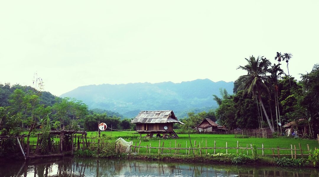 Native house in the middle of the field by a pond, Chiang Mai, Thailand. Patrick Mcgregor@Unsplash