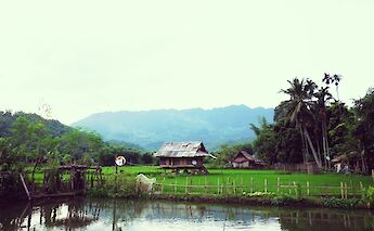 Native house in the middle of the field by a pond, Chiang Mai, Thailand. Patrick Mcgregor@Unsplash