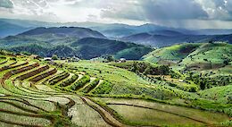 Lamphun & Chiang Mai Countryside Bike Tour with Lunch
