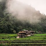 Native house in the middle of the rice field, Chiang Mai, Thailand. David Gardiner@Unsplash