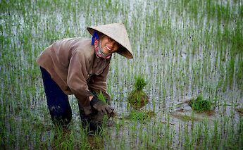 Hoi An Countryside Bike Tour. CC: TO