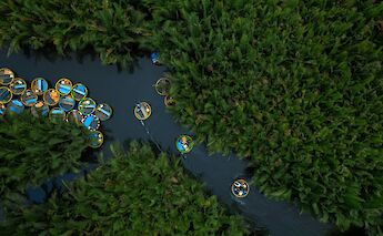 Traditional boats from above, Hoi An, Vietnam. Leandra Rieger@Unsplash