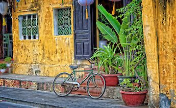 A bicycle is parked outside a rustic yellow building, adorned with potted plants and vibrant green foliage.