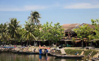 Colorful fishing boats are docked by the riverbank, surrounded by palm trees and lush greenery in Hoi An.