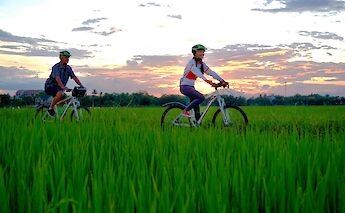 Two people are biking through vibrant green rice fields at sunset. The sky is painted with colorful clouds.