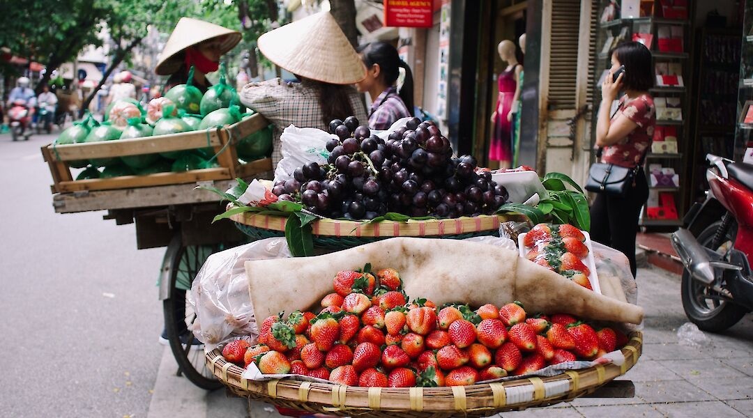 Fruits and fresh produce sold by bike peddlers, Hoi An, Vietnam. K8@Unsplash