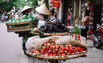 Fruits and fresh produce sold by bike peddlers, Hoi An, Vietnam. K8@Unsplash