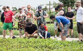 Appreciating the local greenery in Hoi An, Vietnam. Grasshopper Day Tours