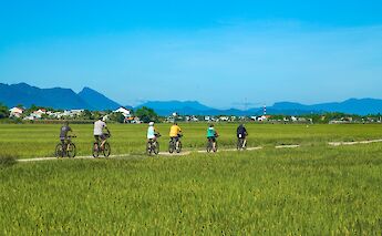 Biking through the countryside, Hoi An, Vietnam. Grasshopper Day Tours