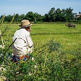Local farmer taking a break at Hoi An, Vietnam. Grasshopper Day Tours