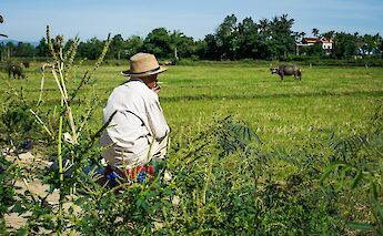 Local farmer taking a break at Hoi An, Vietnam. Grasshopper Day Tours