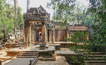 Touring the ruins of Ta Prohm, Siem Reap, Cambodia. Peter Borter@Unsplash