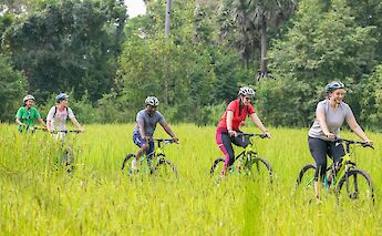 Biking through lush green fields in the countryside of Siem Reap, Cambodia. Grasshopper Day Tours