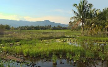 Cambodian countryside landscape, Cambodia. Boudewijn Huysmans@Unsplash