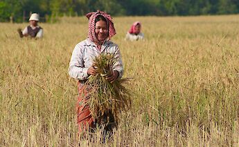 Smiling while at work, Siem Reap, Cambodia. Grasshopper Day Tours