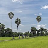 E-biking through an open field with trees in the background, Siem Reap, Cambodia. Grasshopper Day Tours