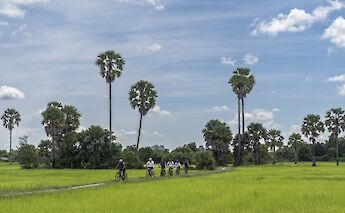E-biking through an open field with trees in the background, Siem Reap, Cambodia. Grasshopper Day Tours