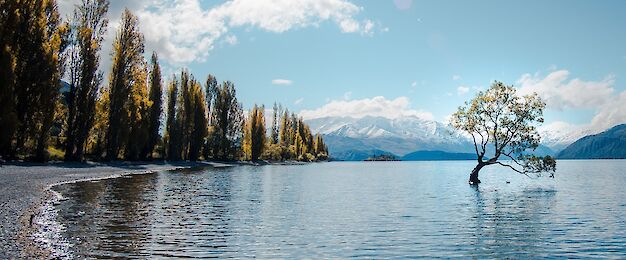 Wanaka tours