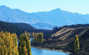 Photo of the Clutha river passing Deans Bank in Wanaka, New Zealand. Quinn Secker@Unsplash