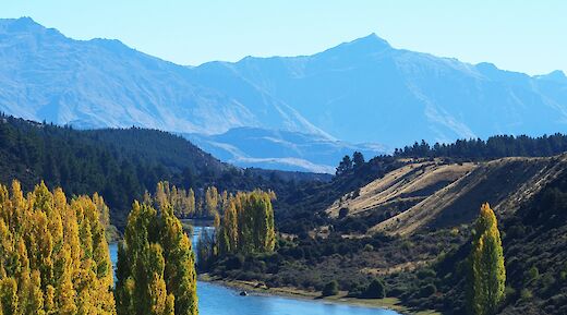 Photo of the Clutha river passing Deans Bank in Wanaka, New Zealand. Quinn Secker@Unsplash