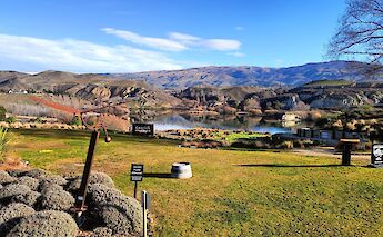 Carrick Winery, Lake Dunstan, New Zealand. CC:N Z Biketrails