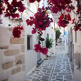 Strolling through charming alleyways. -toIH