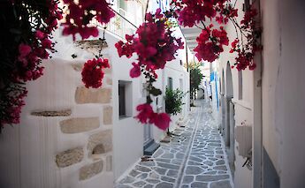 Strolling through charming alleyways. -toIH