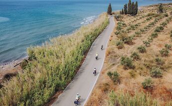 Cycling through olive groves on the way to Ermioni. -toIH