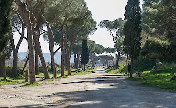 Trees along the water in Castelli, Rome, Italy. Flickr: picturethispost