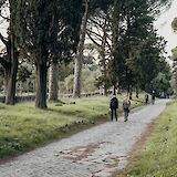 Trip down a row of trees and grass, Appia Antica, Rome, Italy. Gabriella Clare Marino@Unsplash