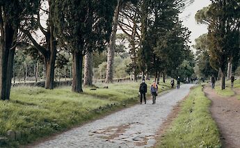 Trip down a row of trees and grass, Appia Antica, Rome, Italy. Gabriella Clare Marino@Unsplash