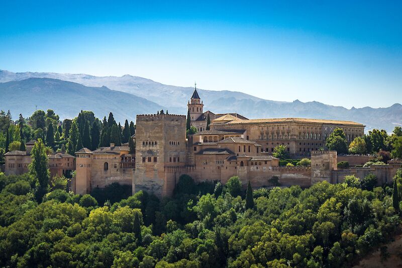 Lush forest around the Alhambra de Granada, Spain. Petr Slováček@Unsplash