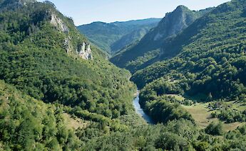 Mountains covered with trees in Žabljak, Montenegro. Secret Travel Guide@Unsplash