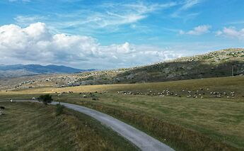 A road through valley, Zabljak. Laurynas Žižys@Unsplash