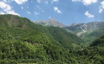 Aerial view of the Sinjajevina forests, Zabljak, Montenegro. CC:Dirgela