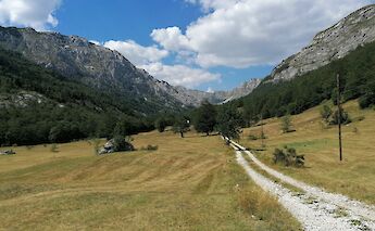 A dirt path runs through a grassy valley bordered by trees and mountains in Grabovica, Zabljak, Montenegro.