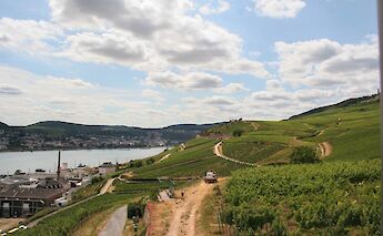 Rüdesheim, Germany. Noah Boyer@Unsplash