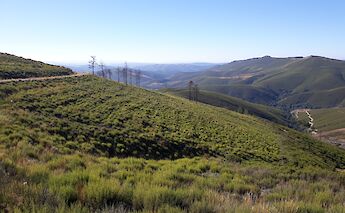 Galicia along the Way of St. James, Spain. CC:Simon Burchell