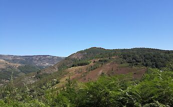 Galicia, Spain. CC:Simon Burchell