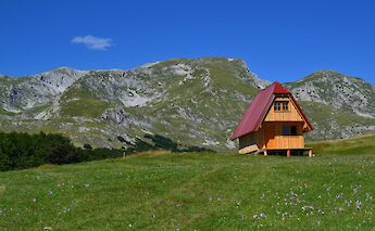 House in a Meadow in Durmitor, Montenegro. Eugene@Unsplash