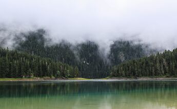 Foggy forest by the lake in Zabljak, Montenegro. Anna Hliamshyna@Unsplash