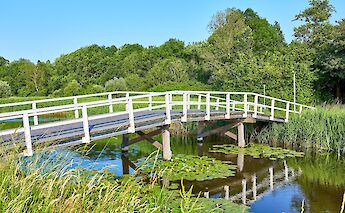 Bridge in Delft, Holland. Mathew Schwartz@Unsplash